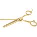 Stainless Steel Hair Cutting Scissors Professional Home Hair Salon Barber Thinning Shears for Kid Adult - Buy Online on GoSupps.com