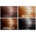 Root Vanish By Kazumi (LIGHT BROWN) - Buy Online on GoSupps.com