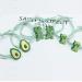 Whitebridge 6pcs Cartoon Frosted Hair Clips Set for Girls & Women - Dinosaur & Avocado Bobby Pins - Buy Online on GoSupps.com