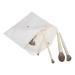 10 Piece Soft Cosmetic Brush Set - Skin Friendly Makeup Brushes for Accurate Color Rendering & Loose Powder Application - Buy Online on GoSupps.com