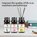 Water Soluble Essential Oil Set - Natural Fresh Air Bottles | Versatile & Practical (4) | International Shipping Available - Buy Online on GoSupps.com