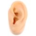 ibasenice Toys Prank Ear Silicone Ear Model Ear Prank Platform Fake Human Ear Fake Ear Models Ear Prank Prop Human Ear Model Props Mold Artificial Ear Body Earrings