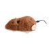 QYNuLi Clockwork Mouse Toy Plush Interactive Cat Toy Cute Moving Mouse Toy for Hard Surfaces and Flat Surfaces (Random Color)
