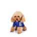 Dog Sweater for Small Dogs Dog Hoodie Pet Puppy Cat Cute Cotton Warm Hoodies Coat Pullover L Dark Blue