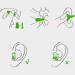 Buy Super Soundproof Earplugs for Sleep - Small Anti-Noise Hearing Protection | Best International Shipping - Buy Online on GoSupps.com
