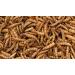 Pondovit Mealworms Premium Snack for Koi - 5L Treats (1 Pack) | Best International Delivery - Buy Online on GoSupps.com