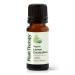 Plant Therapy Organic Lemon Eucalyptus Essential Oil 10 mL (1/3 oz) 100% Pure USDA Certified Organic Undiluted Natural Aromatherapy Fresh Scent for Deodorizing