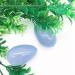 Natural Crystal Rough 1PC Natural Blue Chalcedony Egg Shaped Crystal Gemstone Polished Natural Stones and Minerals - Buy Online on GoSupps.com