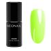 NEONAIL UV nail polish 7.2 ml Yellow Don't Hide NEONAIL colors UV varnish gel nails nail design Shellac Don't Hide 7.2 ml (1 pack)
