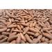 Pine Nuts with Shell 500gms Chilgoza Dry Fruit Chilgoza Pine Nuts - Buy Online on GoSupps.com