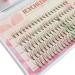 9/10/11/12mm 5 Different length in a tray natural individual eyelashes 0.07c thick mink curl eyelash extensions Pfropg