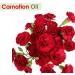Carnation (Dianthus caryophyllus) Essential Oil 100% Pure & Natural - Undiluted Uncut Cold Pressed Aromatherapy Premium Oil (30ml) Carnation 30 ml (Pack of 1) - Buy Online on GoSupps.com