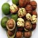 2 Pound (908 grams) Pure walnut kernel Grade A from Yunnan. - Buy Online on GoSupps.com