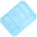 Blue Plastic Shared Tray with Separate Holder for Organized Storage | Versatile for Oral Cosmetic & Surgical Instruments - International Shipping Available - Buy Online on GoSupps.com