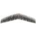 Remeehi Men's Goatee Beard - Realistic Human Hair Hand-Made Fake Facial Mustache Costume in Black - Buy Online on GoSupps.com