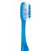 Buy Practicon Nice Touch Disposable Toothbrushes - Non-Pasted 144 Pack | International Shipping Available - Buy Online on GoSupps.com
