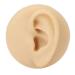 Ear model for earrings silicone-ear model ear-acupuncture exercise model simulation-ear display model for jewelry display acupuncture a window of the window teaching instructions ear piercing train