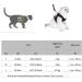 Janica Cat Dishes & Harness Sets | Leash Outbreak-Proof & No-Pull Unbreakable Cat Jewelry - Buy Online on GoSupps.com