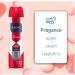 ABOVE Dolce Vita - 48 Hours Antiperspirant Deodorant Set for Women - Protects Against Sweat and Odor - Leaves No White Marks - Delicate Scent - Cruelty and Alcohol Free - 4 pc Dolce Vita 5.07 Fl Oz (Pack of 4) - Buy Online on GoSupps.com