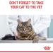 Royal Canin Dental Care Adult Dry Cat Food 3 x 400g - Buy Online on GoSupps.com