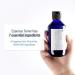 YUN-KANG YUL Essence Toner 100ml - Hydrating and Nourishing Skincare - Buy Online on GoSupps.com