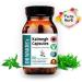 Kalmegh Capsules - 100% Pure Andrographis Panniculata Supplement - Buy Online on GoSupps.com