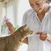 INABA Chicken Fillet for Cats in Crab Flavored Broth - Extra Tender - Buy Online on GoSupps.com