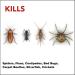 Raid Spider Blaster Killer Kills Listed Bugs on Contact For Indoor Use 350g - Buy Online on GoSupps.com