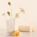 Wild Ferns Manuka Honey Lip Balm 15g - 99% Natural, Conditioning Formula - Buy Online on GoSupps.com