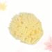 FOMIYES Bath Scrubber Face & Body Sponge - Natural Baby Bath Sponge - Disposable Shower Sponge - Buy Online on GoSupps.com
