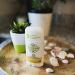 Stinkbug Naturals Unscented All Natural Deodorant - 2.1 Ounce - Buy Online on GoSupps.com