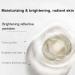 Honey & Beauty Moisture Toning Light Cream - Hydrating Korean Face Cream Duo - Buy Online on GoSupps.com