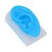 Soft Silicone Left Ear Model - Ideal for Teachers and Salons - Buy Online on GoSupps.com