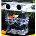 Acrylic Aquarium Fish Breeder Box - 5.2'' x 4'' x 2.8'' - Ideal for Isolating Fry - Buy Online on GoSupps.com