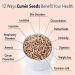 nalAmudhu Jeeragam | Jeera | | Cuminum cyminum |Cumin Seeds-200g  - Buy Online on GoSupps.com