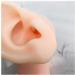 Silicone Ear Model for Acupuncture - Artificial Ear Model with Stand - Soft Silicone Ear Model for Teaching for Ear Picking Practice Studs Earring Display Props - Buy Online on GoSupps.com