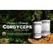 Half Hill Farm Cordyceps Mushroom Dual Extract 6.76 OZ - Buy Online on GoSupps.com