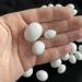 10Pcs Plastic Eggs - Simulated Bird Eggs for Parrots & Racing Pigeons | Bird Supplies Worldwide Shipping - Buy Online on GoSupps.com