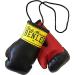 Buy BENLEE Rocky Marciano Miniature Boxing Gloves - One Size Black | International Shipping Available - Buy Online on GoSupps.com