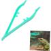 ibasenice 40 Pcs Reptile Feeding Clip Feeding Clamp Animal Crawl 20pcsx2pcs Greenx2pcs - Buy Online on GoSupps.com