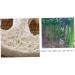 50pcs Natural Loofah Slices for Handmade Exfoliating Soaps - Organic Luffa Cuts - Buy Online on GoSupps.com