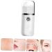 DRESSOOS 2pcs Hydrating Instrument Nano Face Steamer Portable Handheld Facial Mister White Abs - Buy Online on GoSupps.com