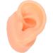 Silicone Ear Model - Soft Simulation Hearing Tool for Sound Aid Display (Left Ear) - Fleshcolor with Black Stand - 1 Count - Buy Online on GoSupps.com