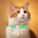 Personalized Engraved Cat Collar with Bell - Light Green Custom Name & Phone Number - International Shipping Available - Buy Online on GoSupps.com