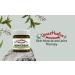 Grace Harbor MSM Cream Variety 3 Pack Daily Skin Joint and Muscle Rub Best Goat Milk Unscented Baby Lotion for Severly Dry Skin Therapeutic Essential Oils and Fragrance Free 4 oz 4 oz - 1 Scented 2 Unscented - Buy Online on GoSupps.com