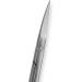 Amazon Basics Beauty Scissors - Professional Stainless Steel Makeup and Grooming Tool - Buy Online on GoSupps.com