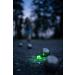 COCHOLED - Luminous petanque piglet - 1pc - Green - Buy Online on GoSupps.com