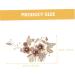 VINTORKY Flower Leaf Comb Crystal Headpiece Rhinestone Hair Accessories Bridal Headpiece Rhinestone Headpiece Metal Hair Comb Crystal Bridal Hair Comb Alloy Rhinestone Bride Manual Hair up - Buy Online on GoSupps.com