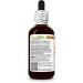 Hawaii Pharm Muira Puama Alcohol-Free Extract Glycerite for Boosting Desire and Energy Supports Memory Promotes Calmness Enhances Circulation Reduces Dark Circles Encourages Vitality - 2 fl.oz 2 Fl Oz (Pack of 1) - Buy Online on GoSupps.com