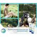 After Sun & Sting Relief Aloe Vera Soothing Gel | 6 Fl oz Paraben Free Cooling Gel for Bug Bites & Sunburn | Stream2Sea - Buy Online on GoSupps.com